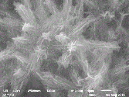 Bismuth vanadate nanowire-graphene photocatalyst preparation method