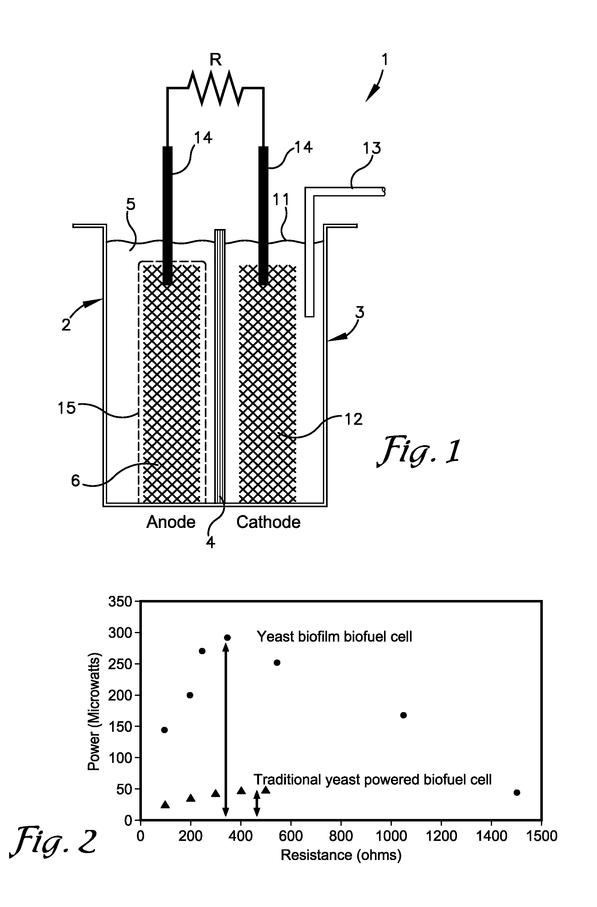 Yeast biofilm based fuel cell