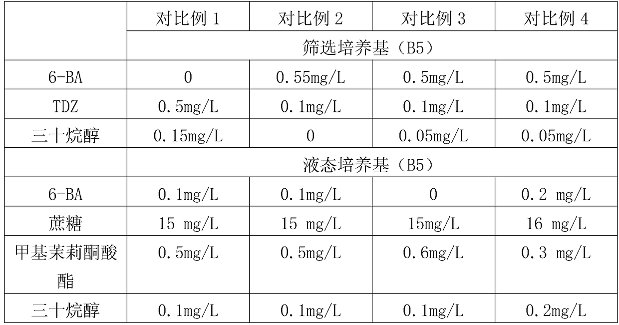 A kind of cultivation method and application of dendrobium candidum stem cells