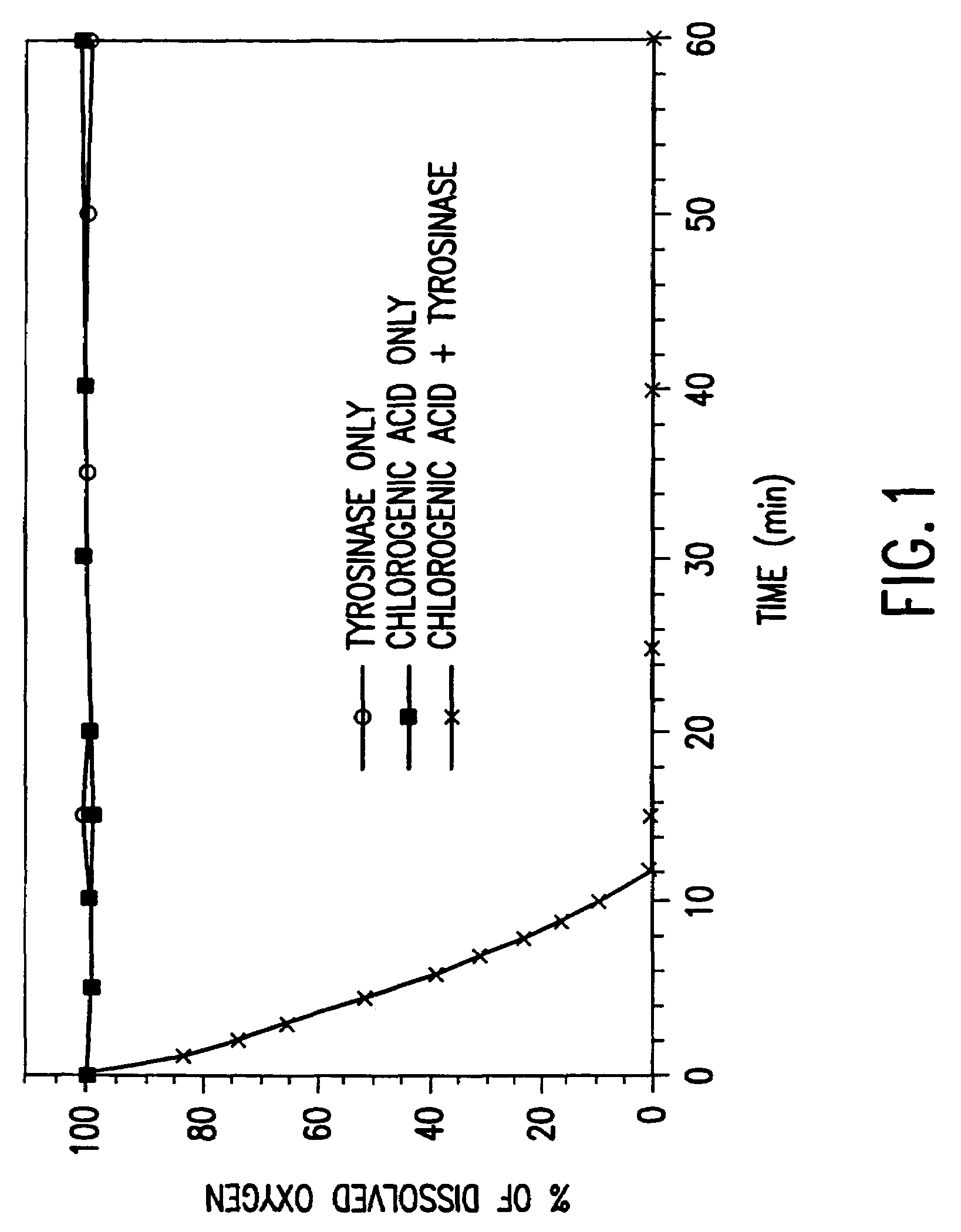 Modified chitosan polymers and enzymatic methods for the production thereof