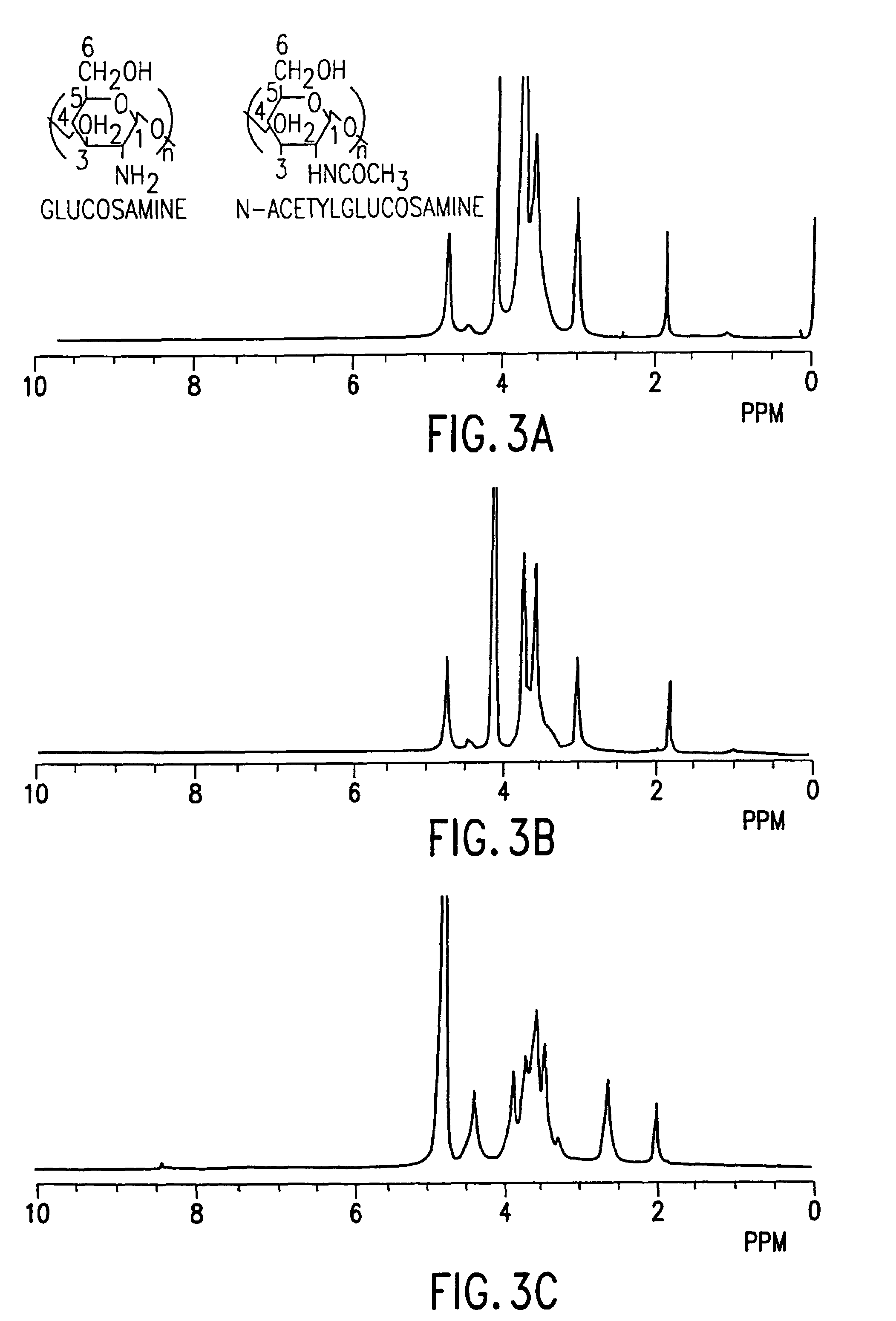Modified chitosan polymers and enzymatic methods for the production thereof