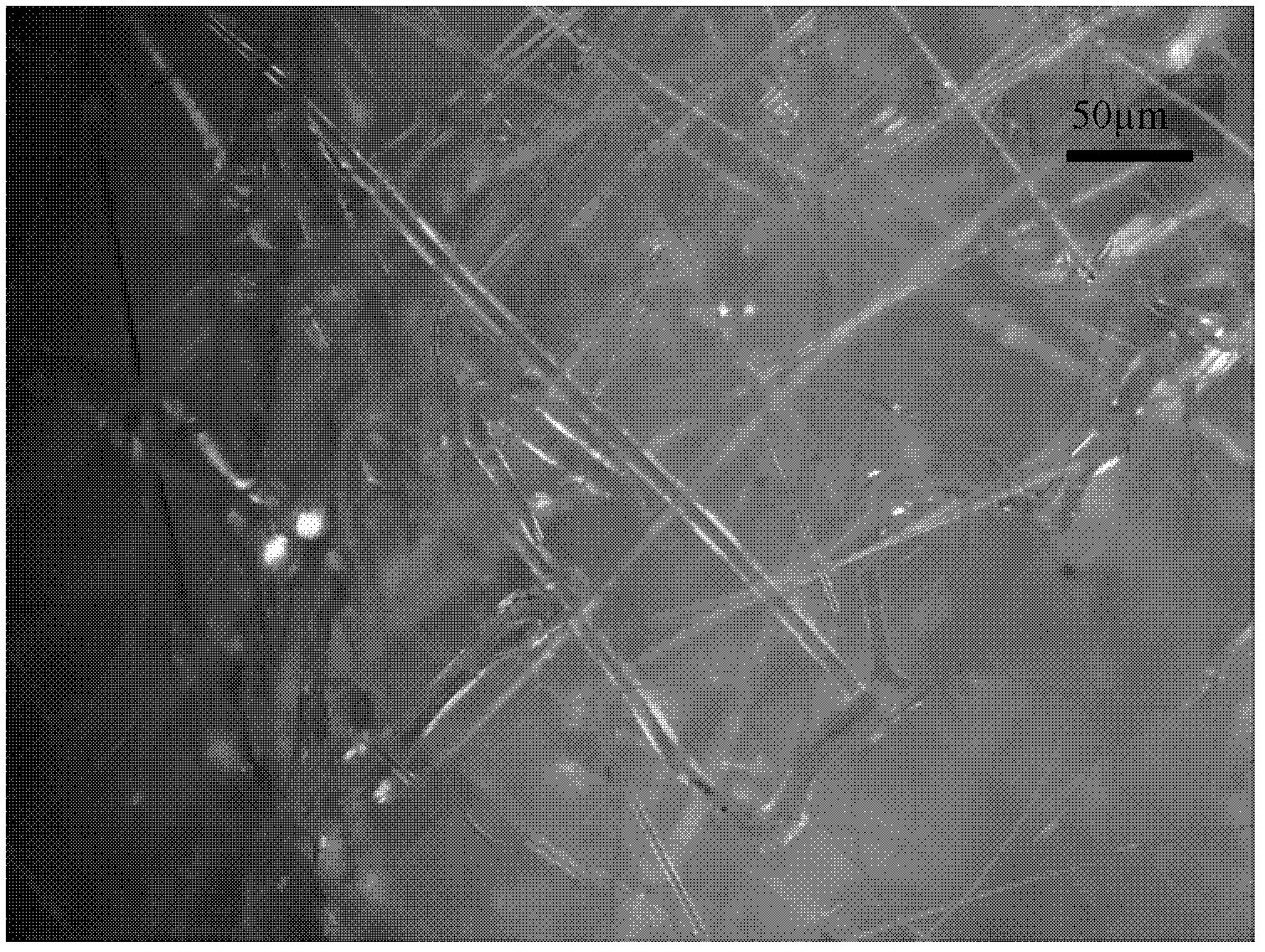 Method for extracting iron by utilizing nickel slag and preparing fibers