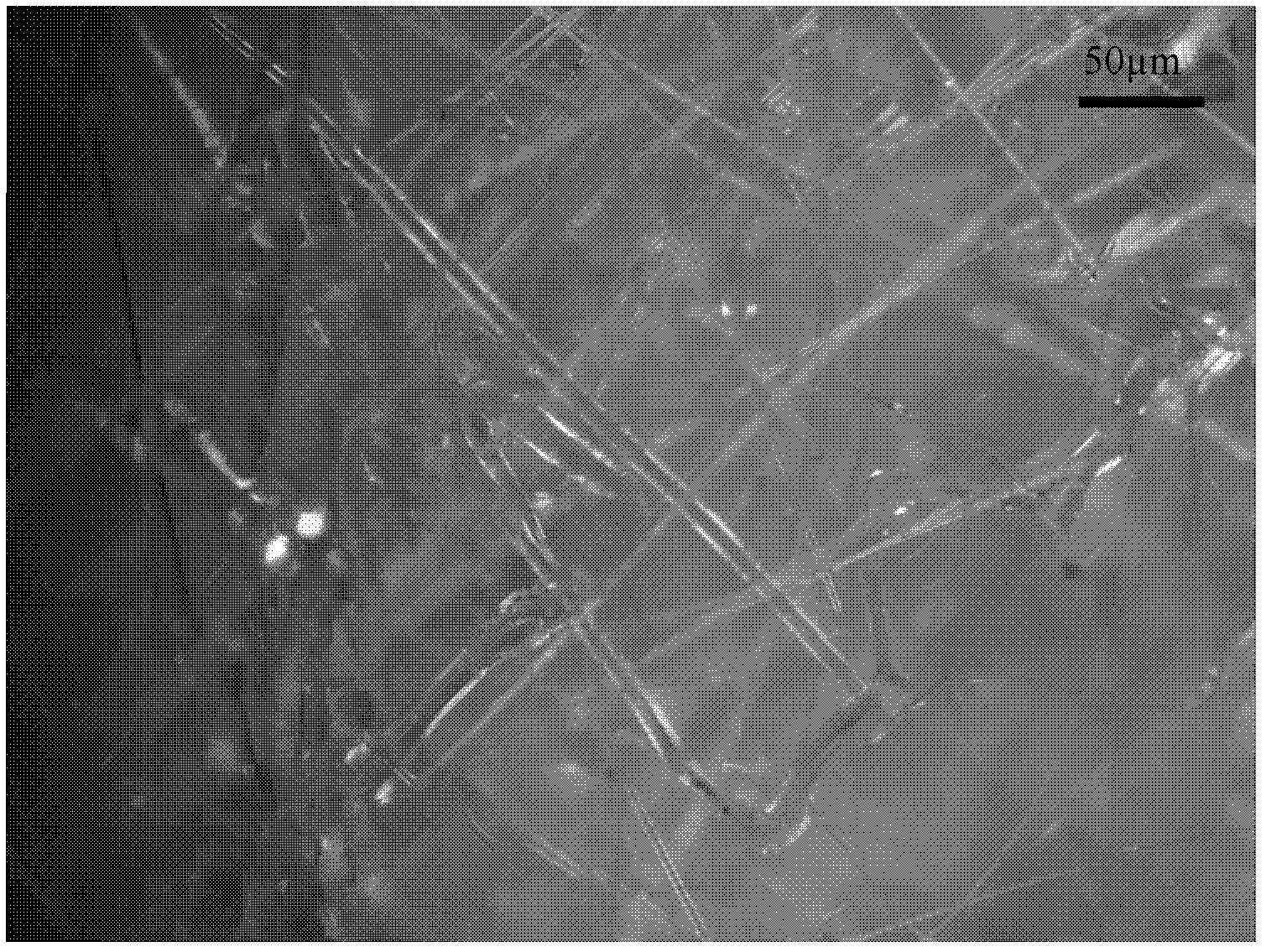 Method for extracting iron by utilizing nickel slag and preparing fibers