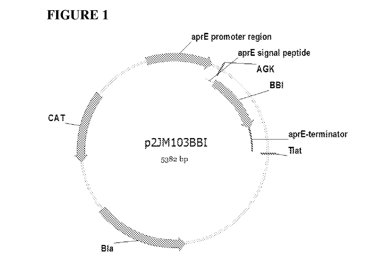 Compositions comprising beta mannanase and methods of use