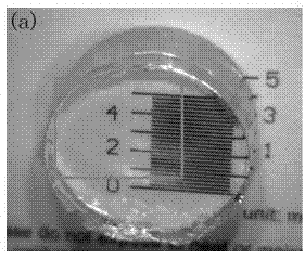 Preparation method of high-purity and low-loss chalcogenide glass