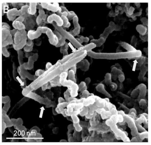 pH-sensitive large-inner-diameter multi-walled carbon nanotube dual drug-loading system and preparation method