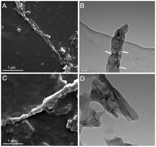 pH-sensitive large-inner-diameter multi-walled carbon nanotube dual drug-loading system and preparation method