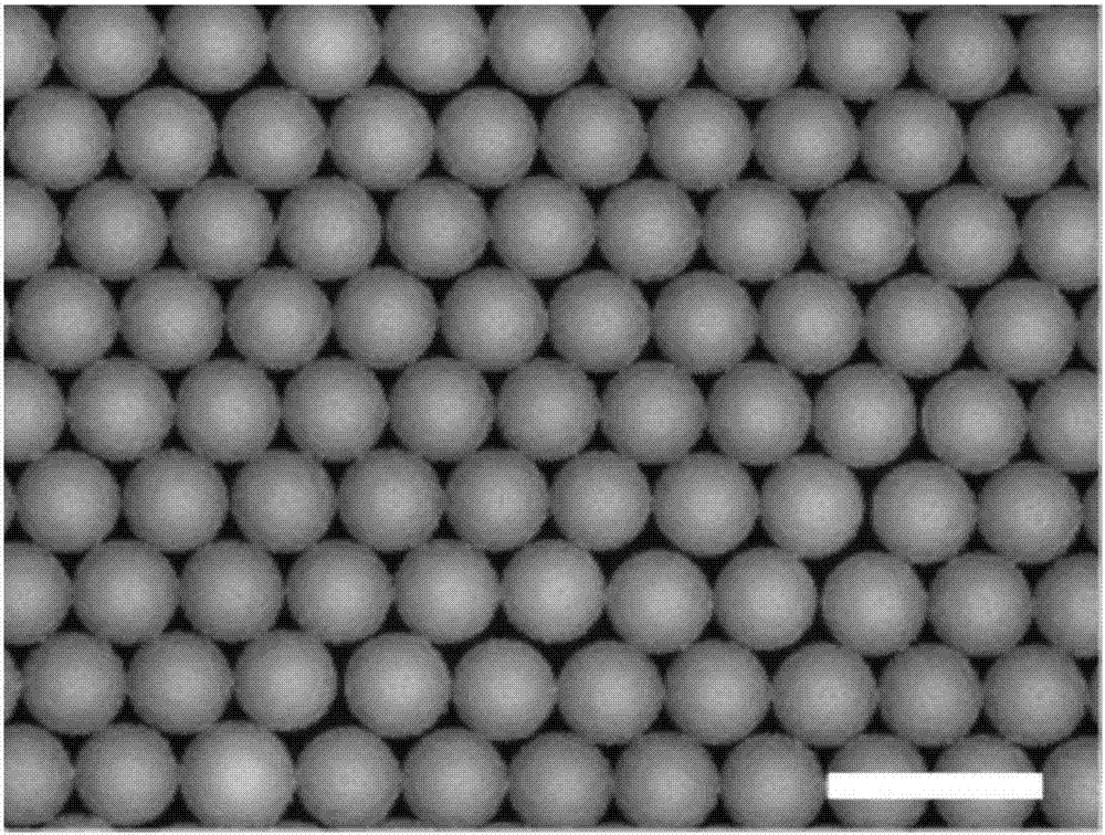 Method using one-step template method to prepare ordered ferroelectric nanodot array