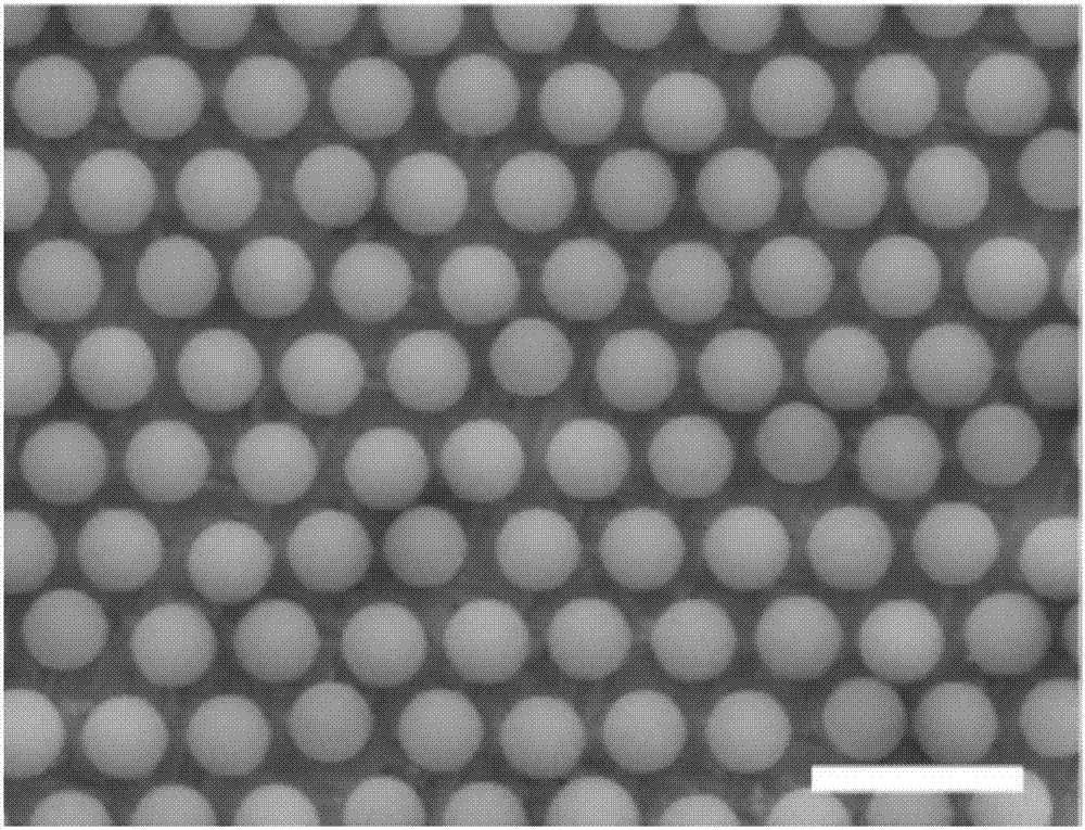 Method using one-step template method to prepare ordered ferroelectric nanodot array