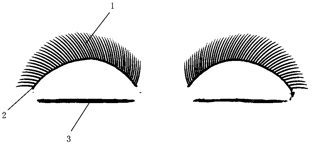 Water self-adhesive film and manufacturing method of false eyelashes with water self-adhesive film