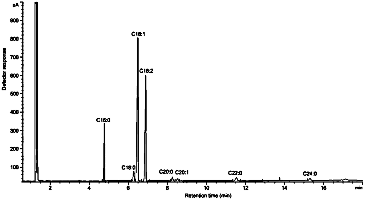 High-oleic acid peanut mutant gene AhFAD2B-814 and application thereof