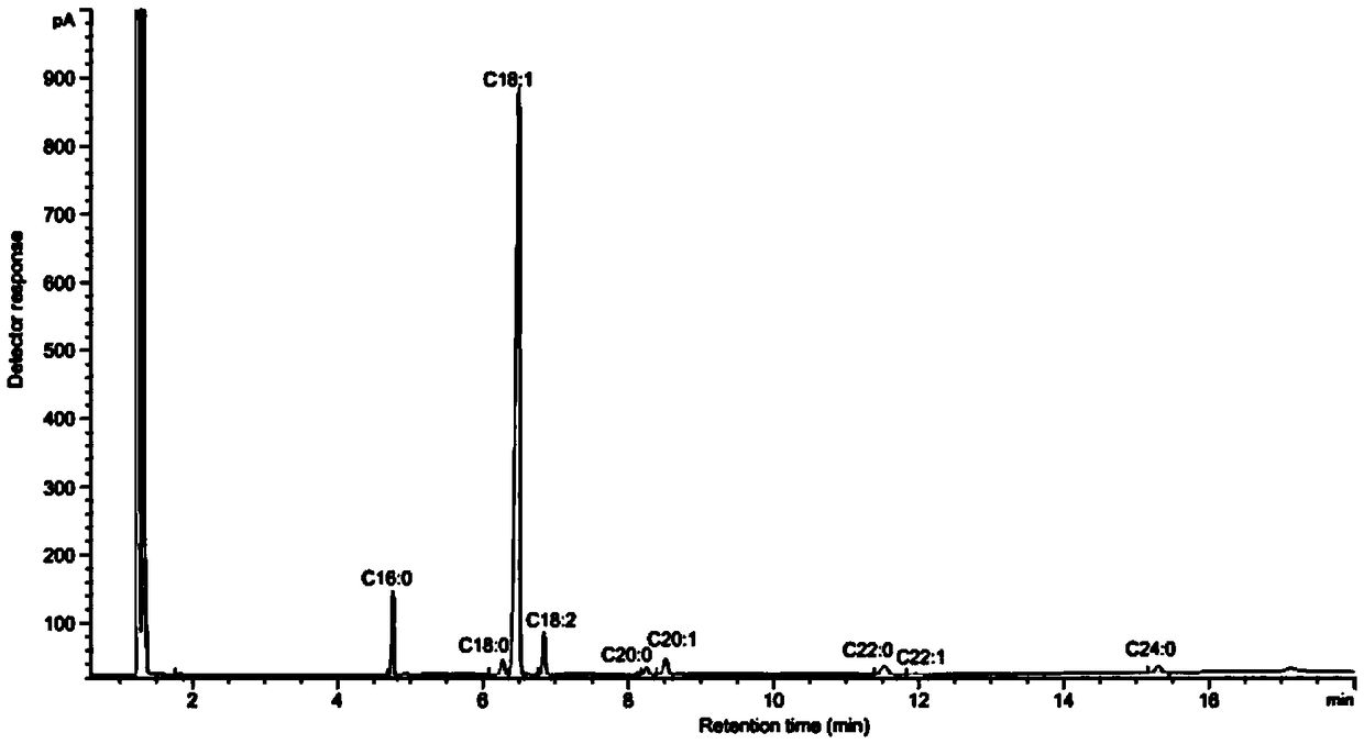 High-oleic acid peanut mutant gene AhFAD2B-814 and application thereof