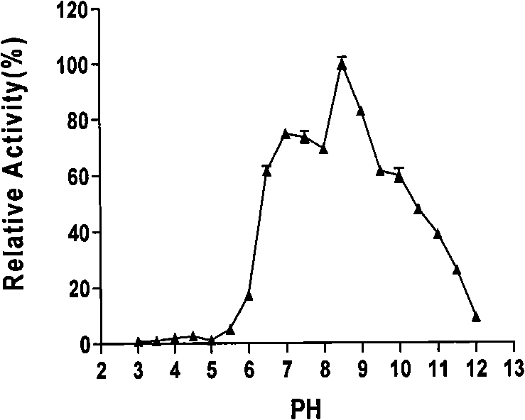 Alkali-fast high-activity alkalescent xylanase and encoding gene thereof