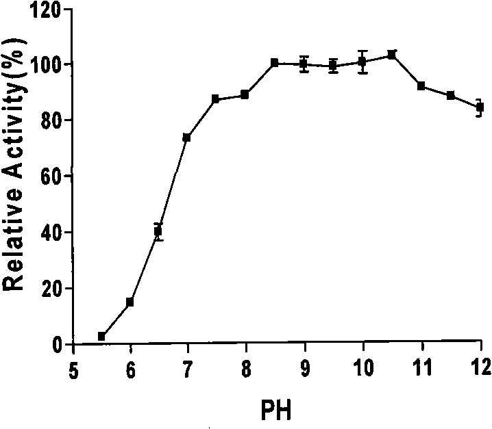 Alkali-fast high-activity alkalescent xylanase and encoding gene thereof
