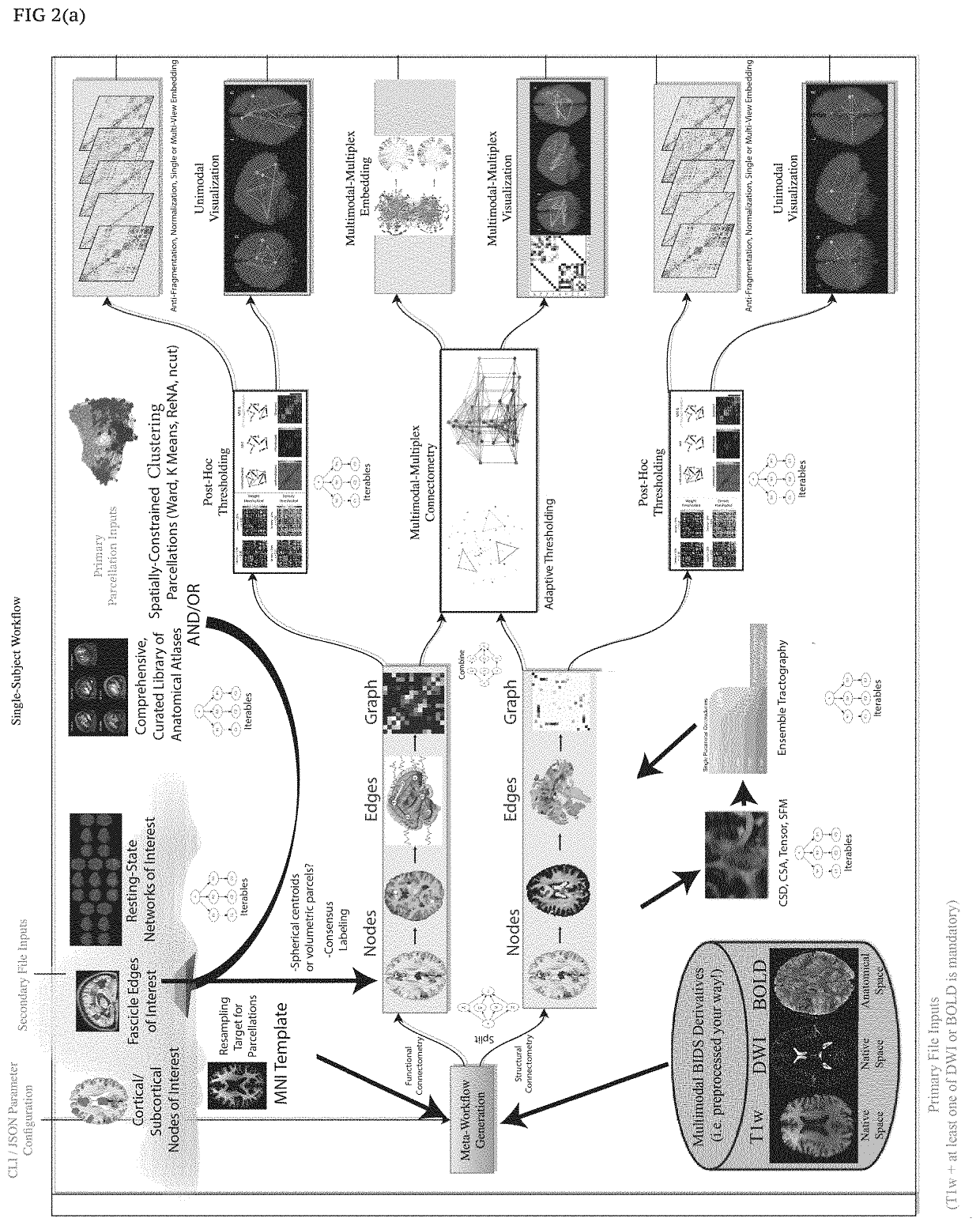 Automated feature engineering of hierarchical ensemble connectomes