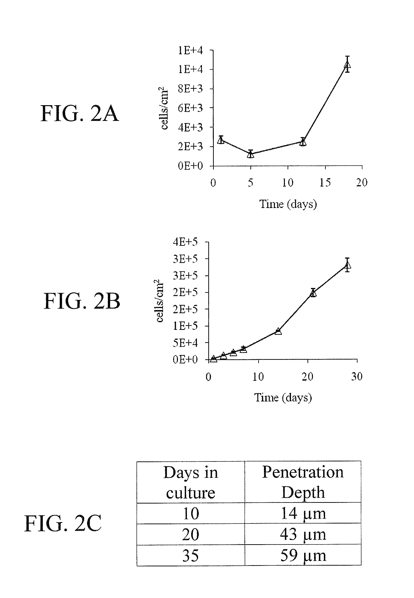 Dual-chamber perfusion bioreactor for orthopedic tissue interfaces and methods of use