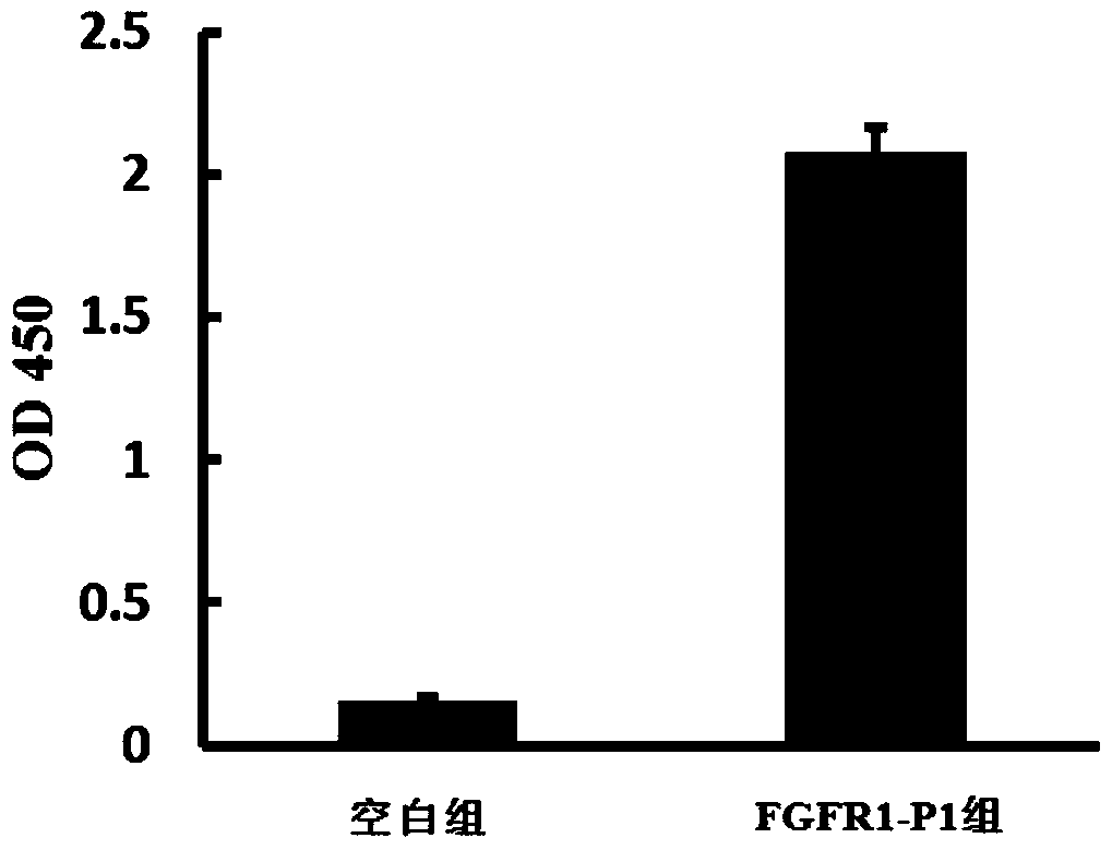 Polypeptides regulating fgfr1 activity and applications thereof