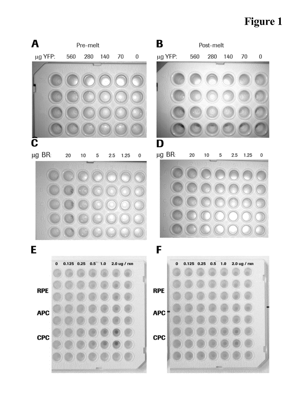 Compositions with thermolabile dyes