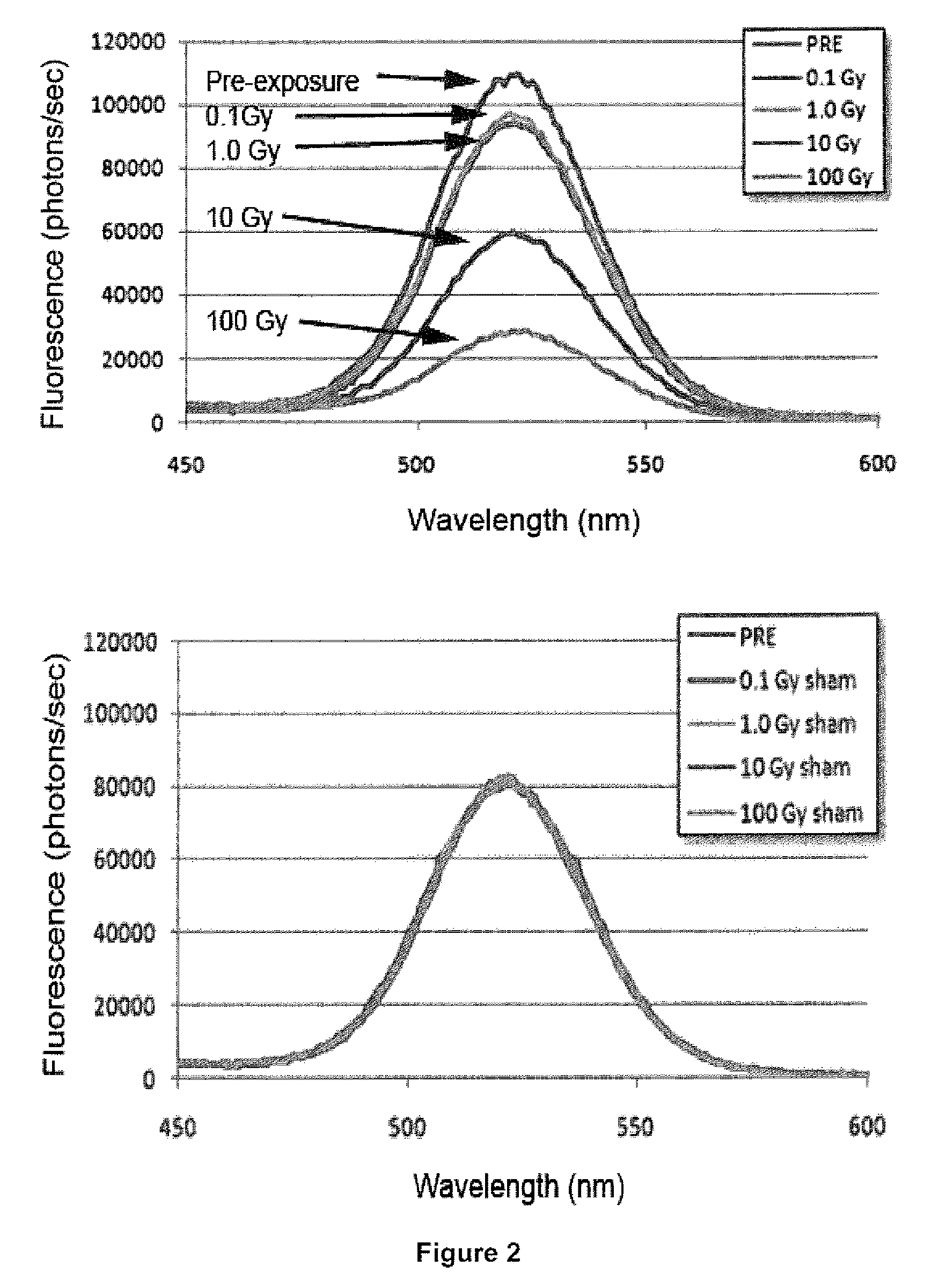 System and Methods Using Quantum Dots as General Dosimeters