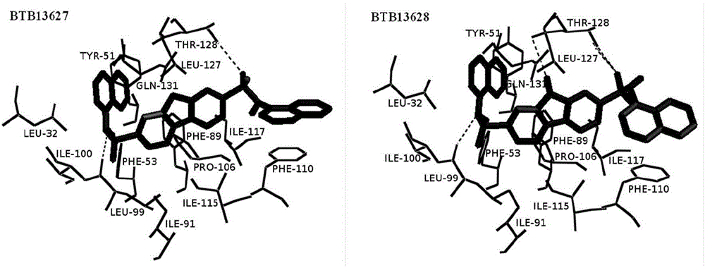 Cotton bollworm sterol carrier protein 2 inhibitor and virtual screening method thereof