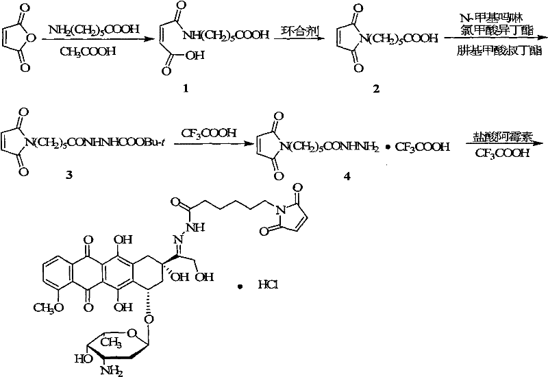 Preparation method for doxorubicin13-position hydrazone derivative
