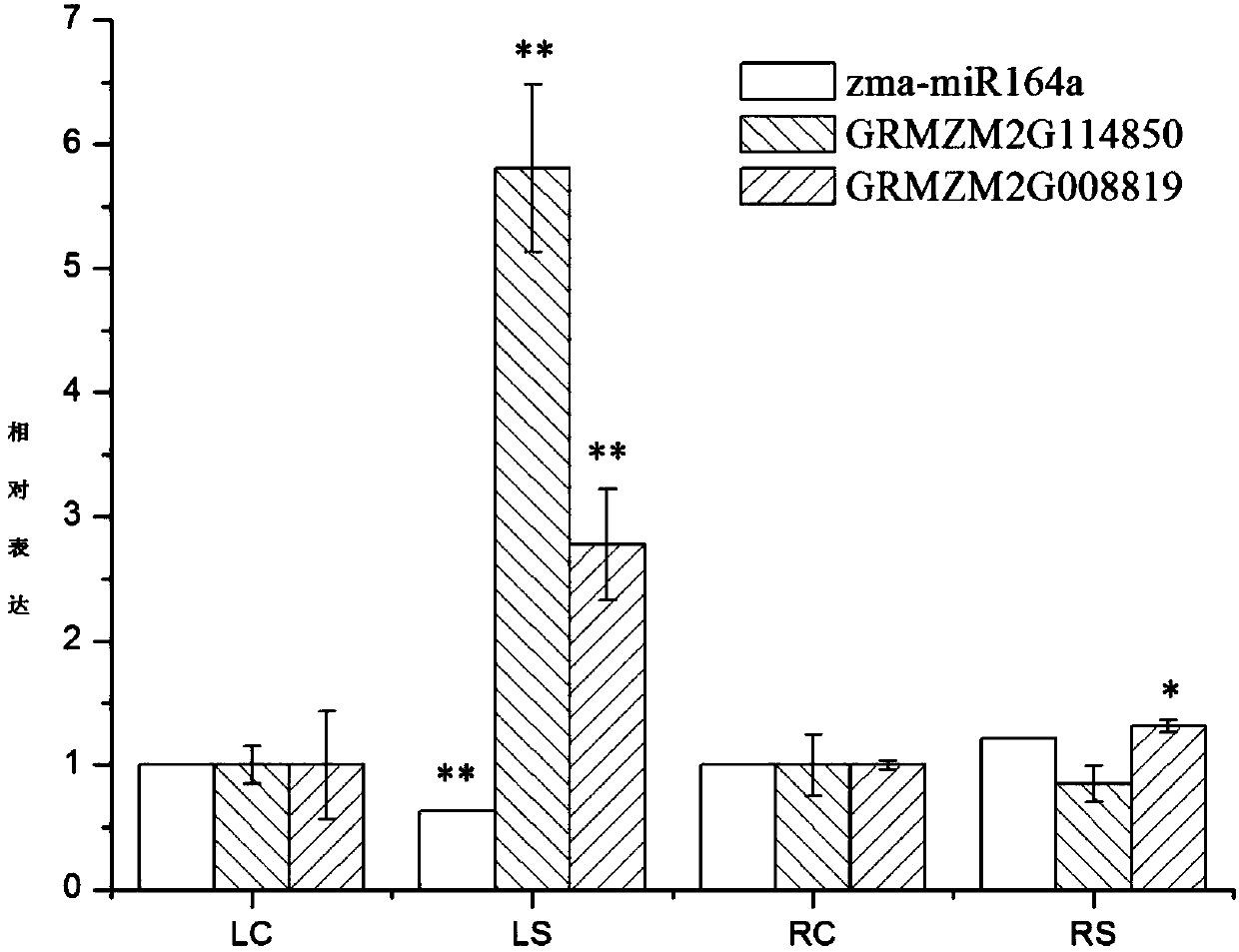 Maize salt stress response miRNA MiR164 and application thereof