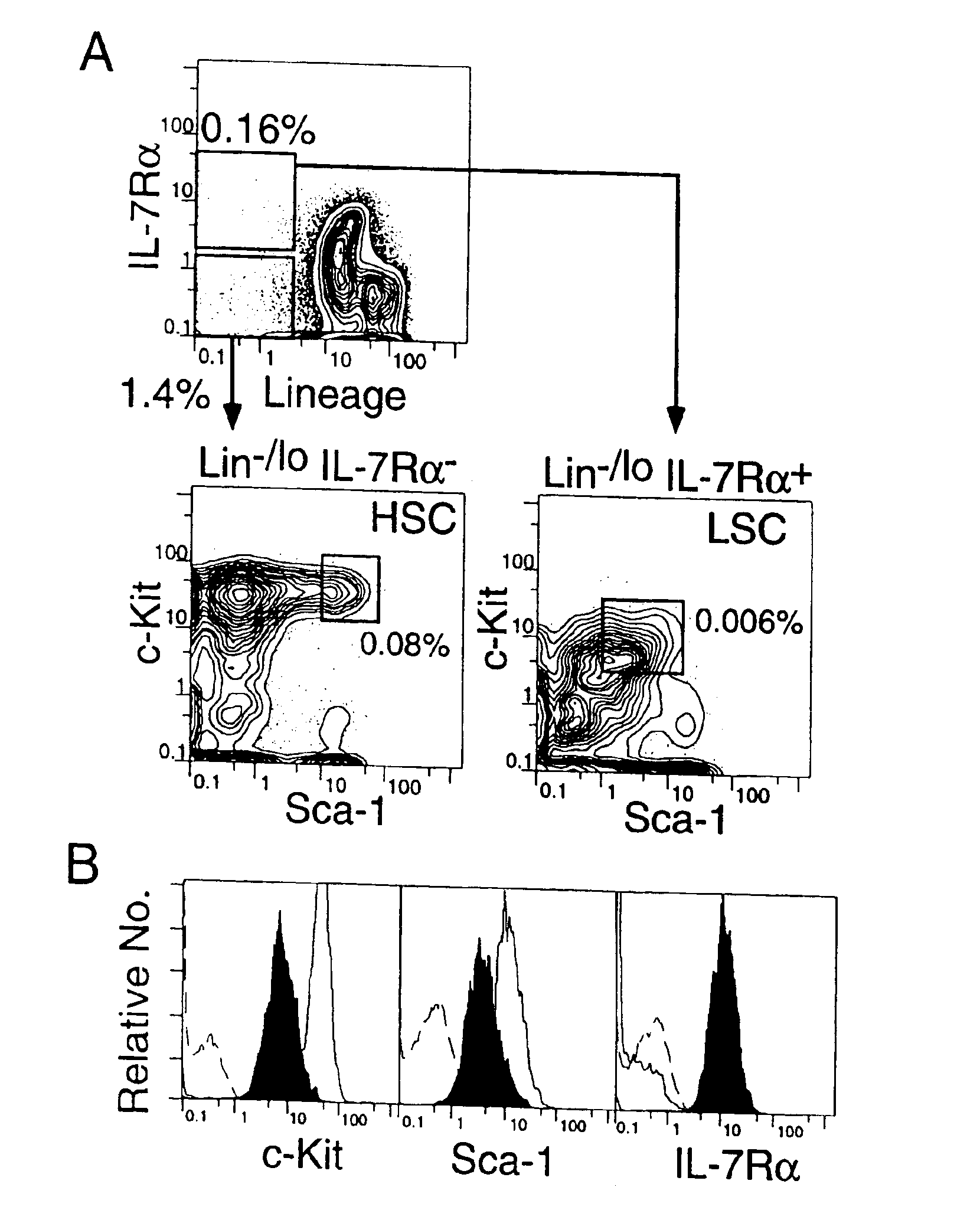 Mammalian common lymphoid progenitor cell