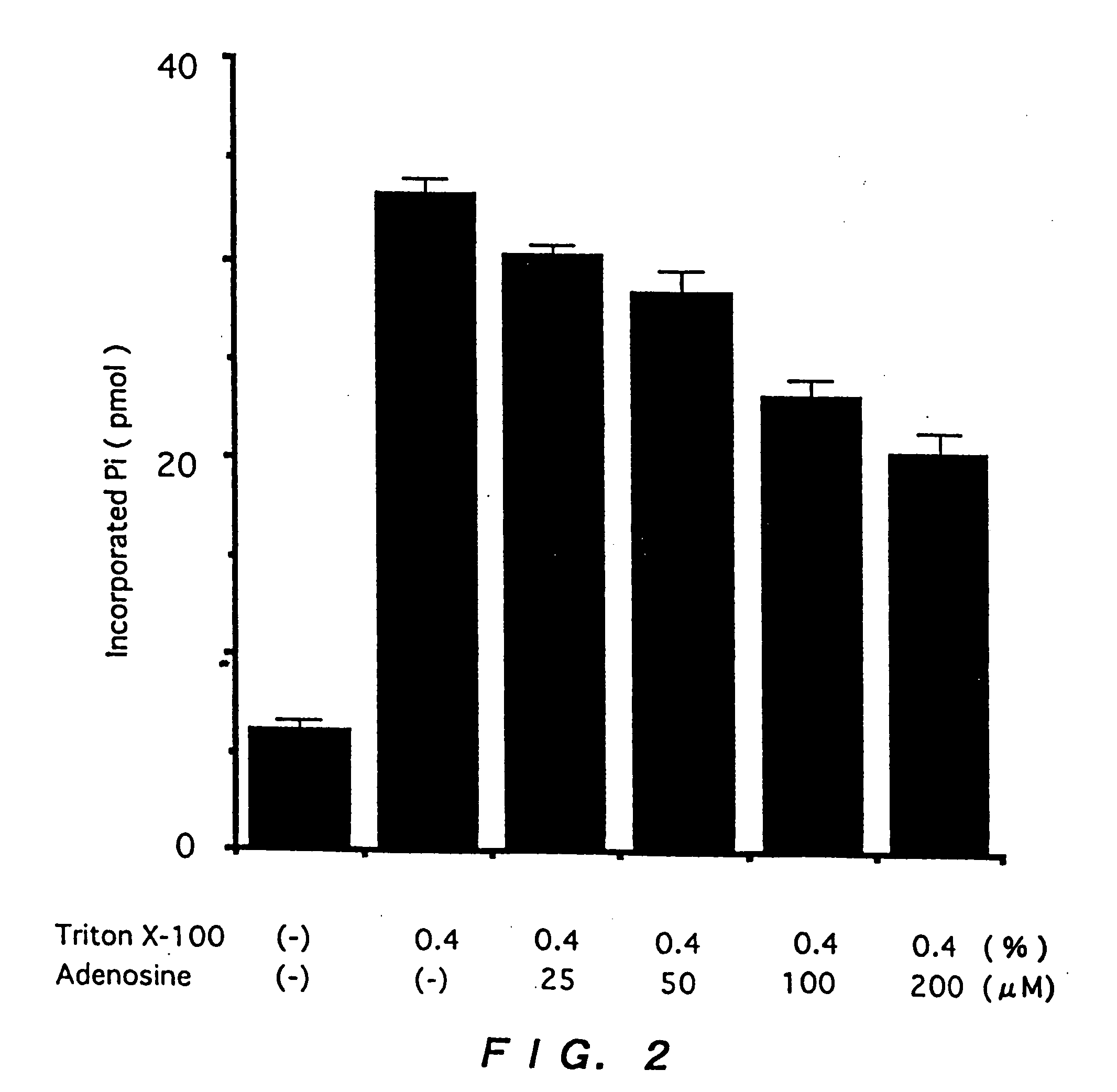 Human skeletal muscle-specific ubiquitin-conjugating emzyme
