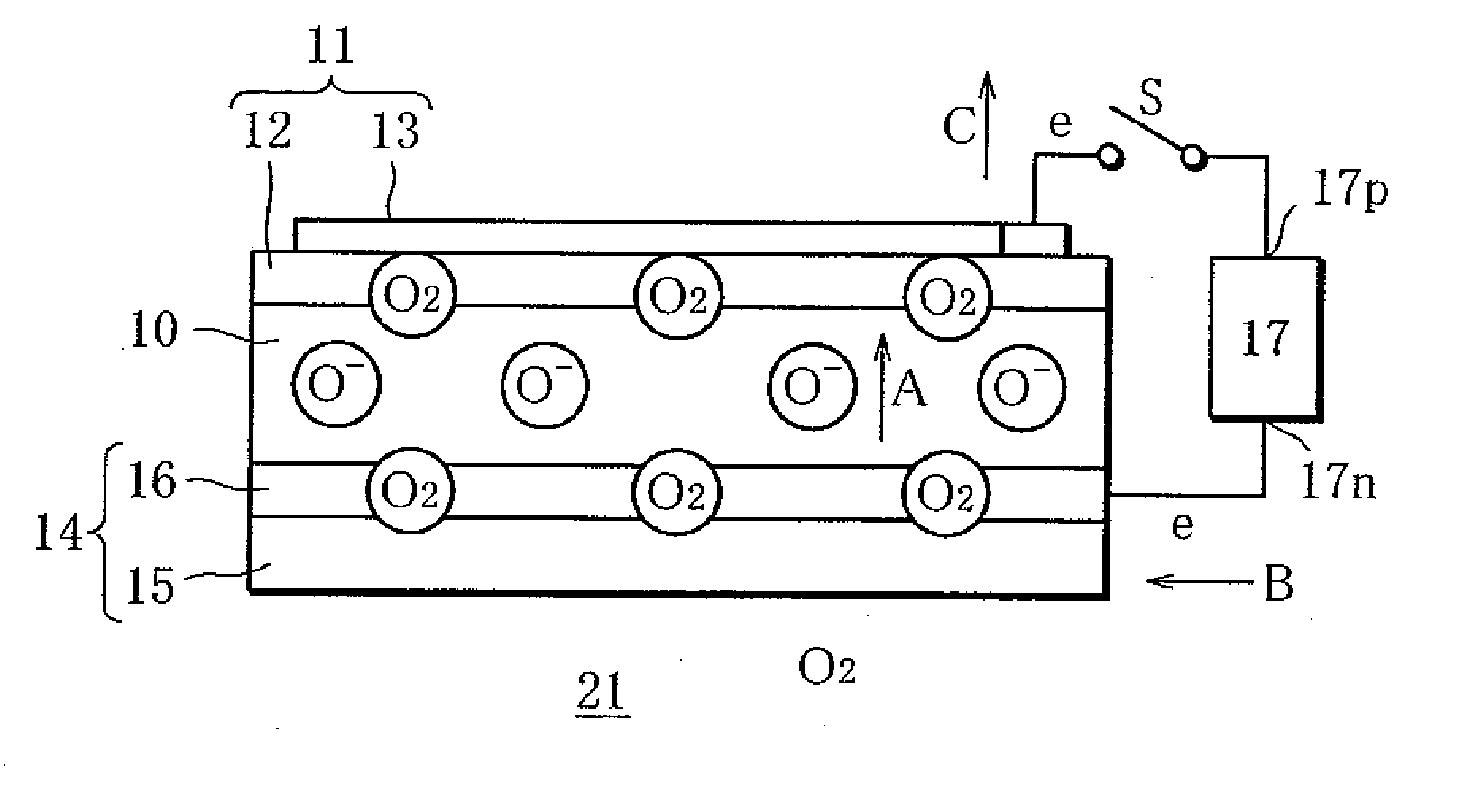Method and Apparatus for Examining Ion-Conductive Electrolyte Membrane