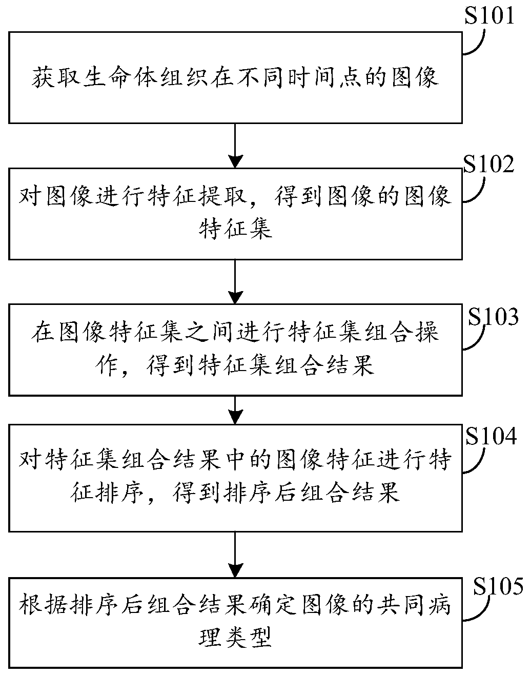 Image classification method and device, storage medium and endoscope ...