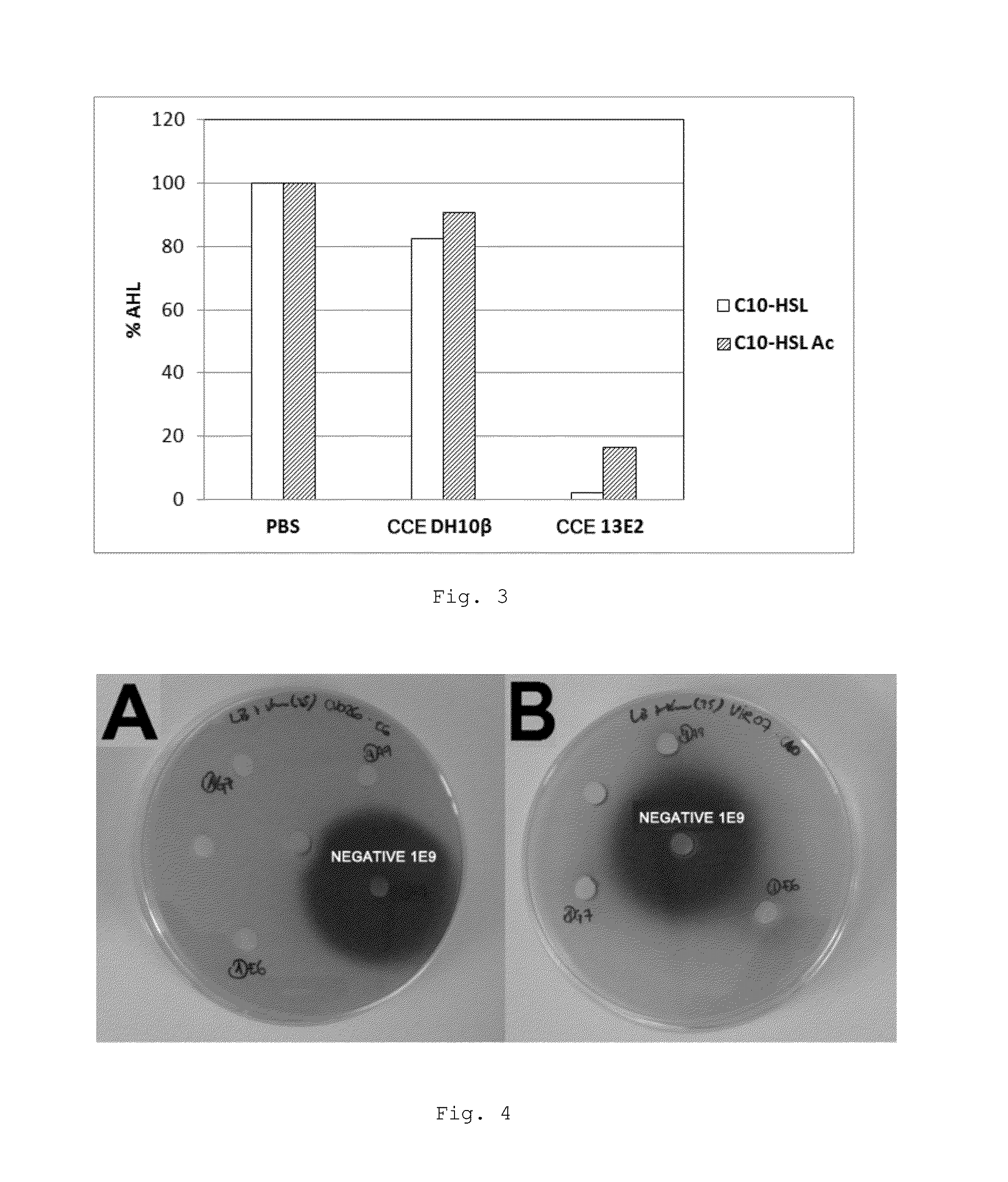 Peptide with quorum-sensing inhibitory activity, polynucleotide that encodes said peptide, and the uses thereof