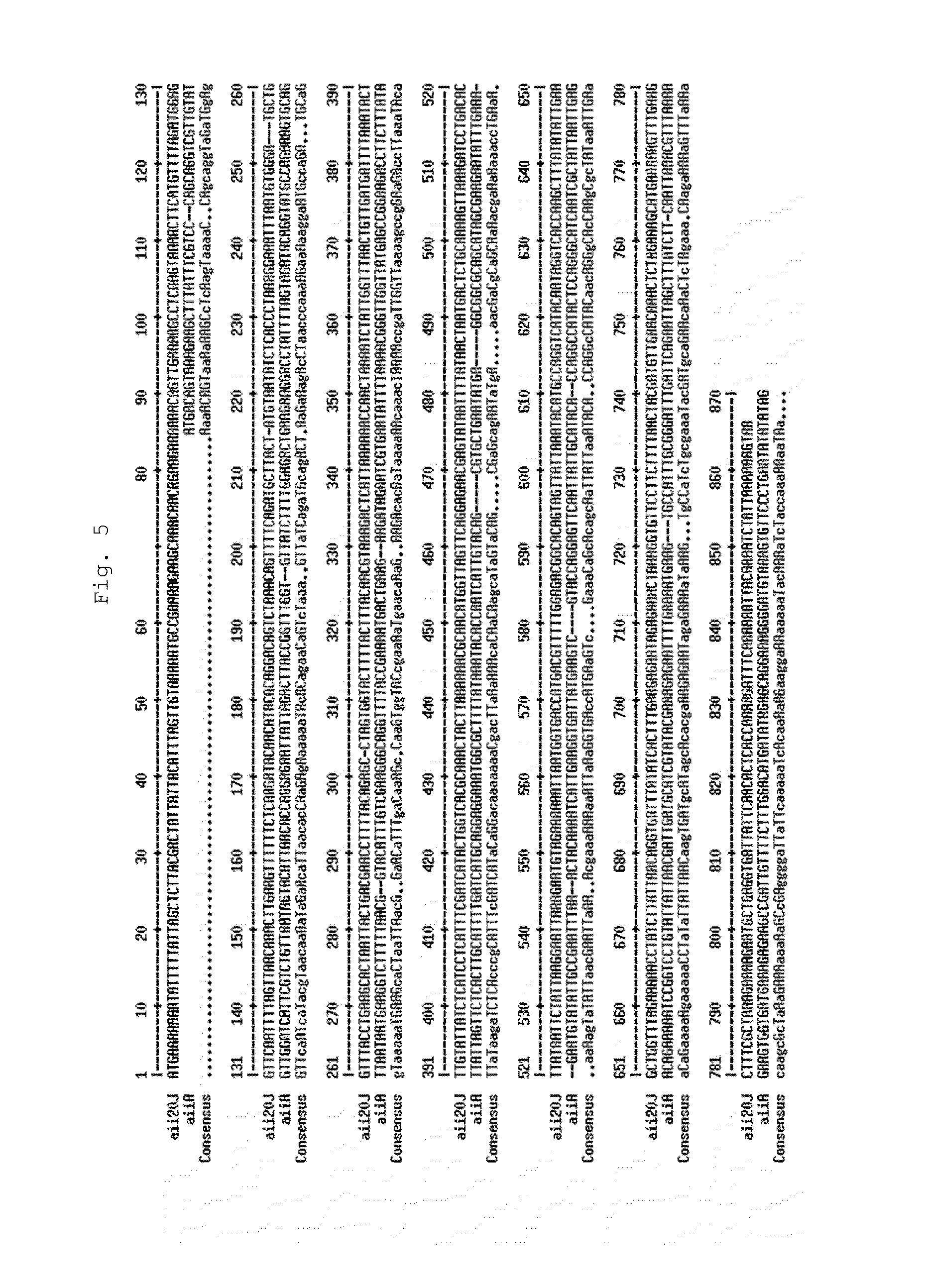 Peptide with quorum-sensing inhibitory activity, polynucleotide that encodes said peptide, and the uses thereof