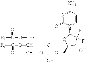 Preparation method and application of gemcitabine-phospholipid complex