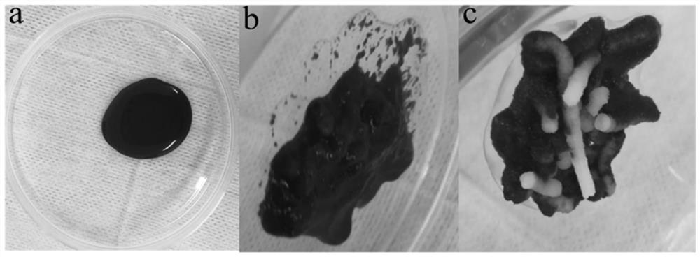 A kind of fluid hemostatic glue and preparation method thereof