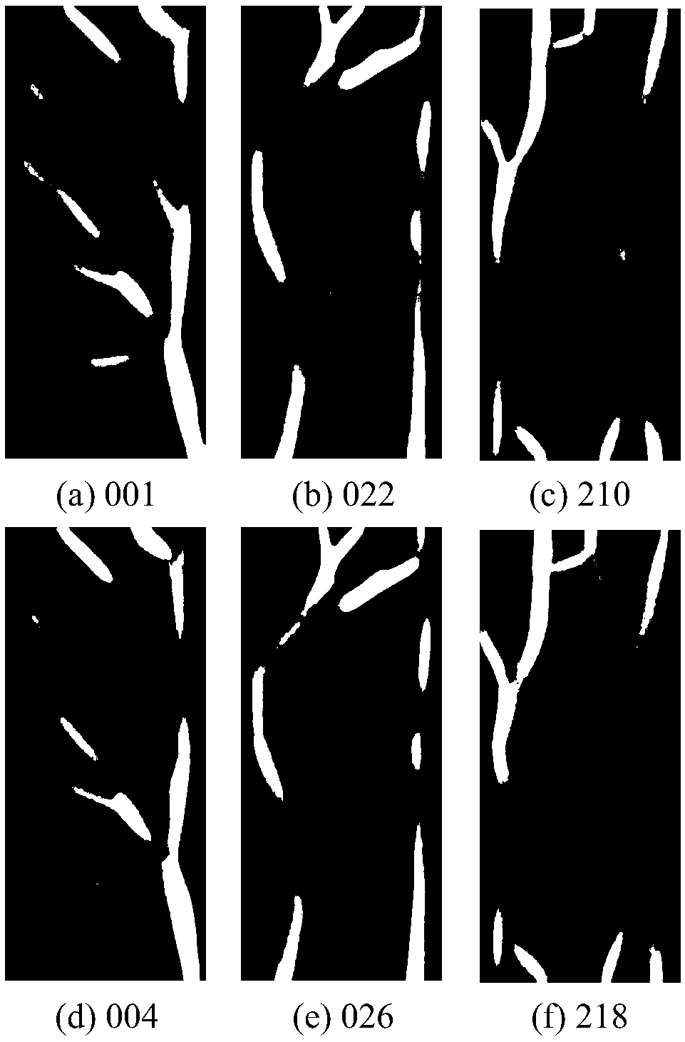 Vascular network restoration method based on a finger vein image