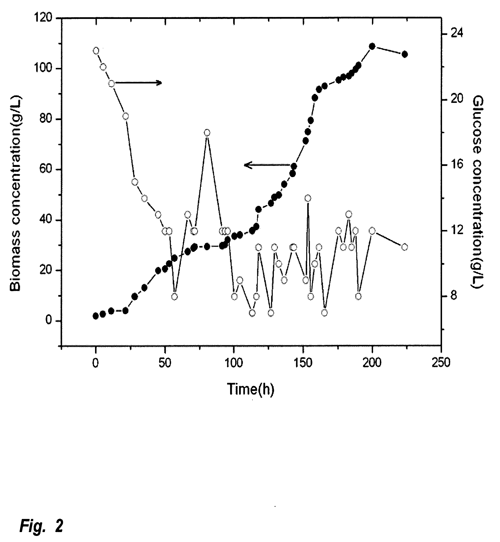 Method for producing biodiesel using high-cell-density cultivation of microalga Chlorella protothecoides in bioreactor