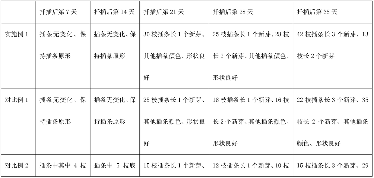 Planting method of Rosa roxburghii Tratt