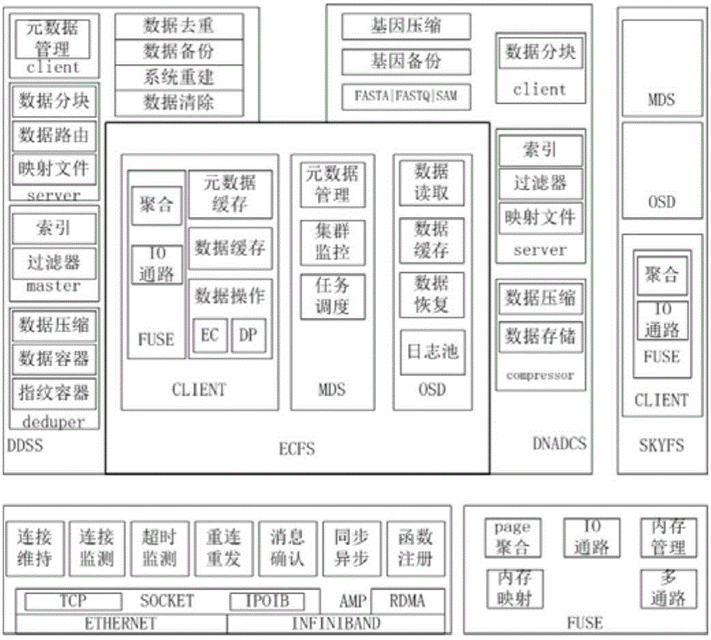 Multi-virtual-machine mapping and multipath fuse acceleration method and system based on kvm