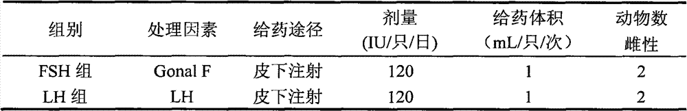 Preparation method for rhesus ovary and ovarian follicle generation model