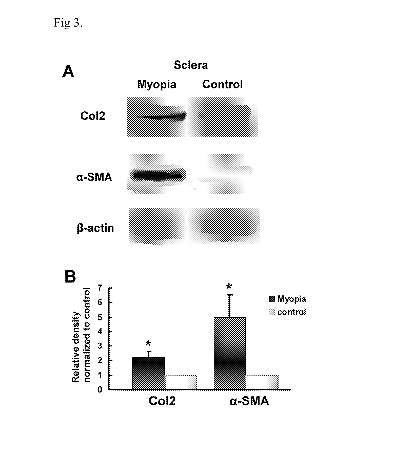 Pharmaceutical composition and uses thereof