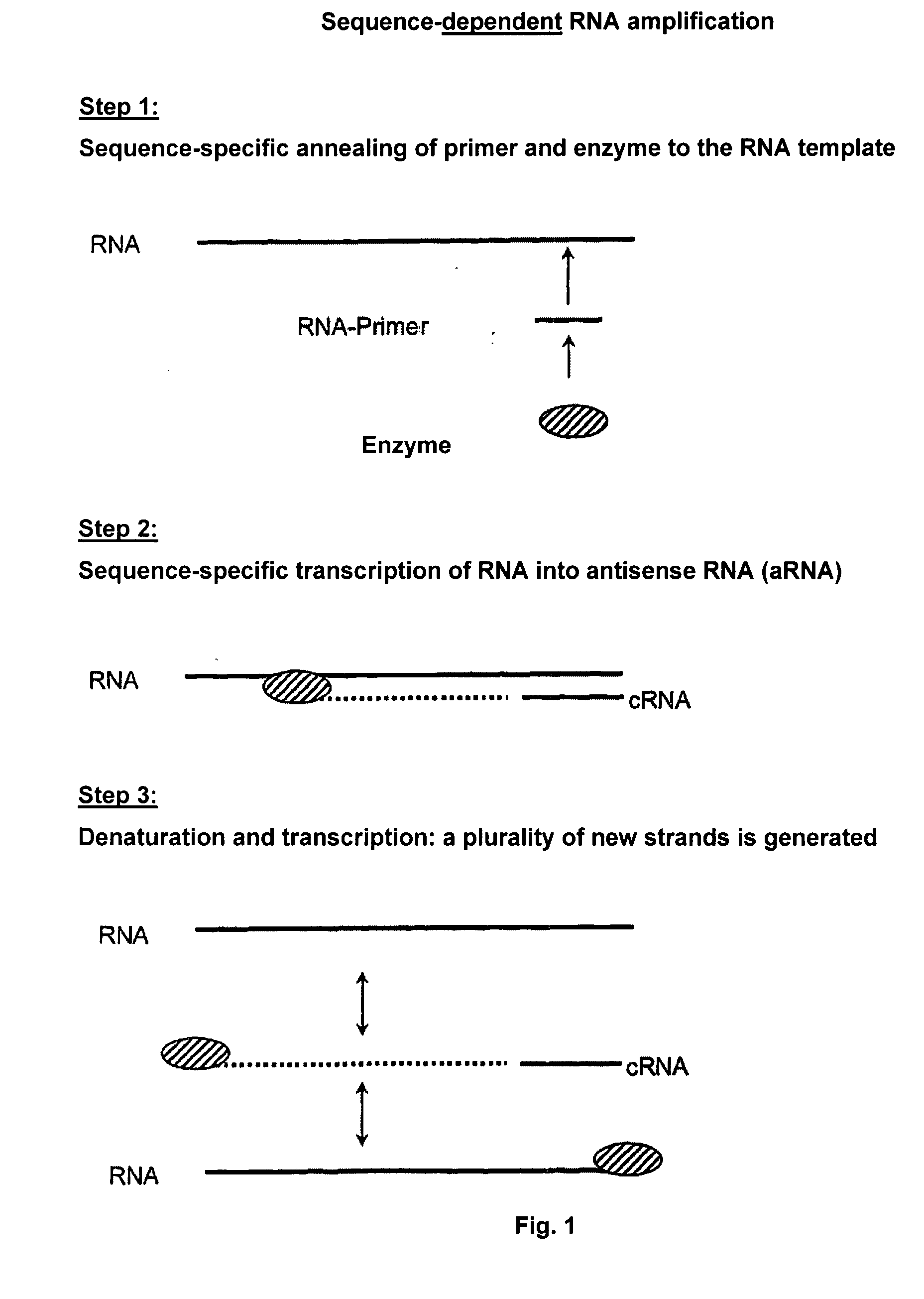 RNA-Dependent RNA Polymerase, Methods And Kits For The Amplification And/Or Labelling Of RNA