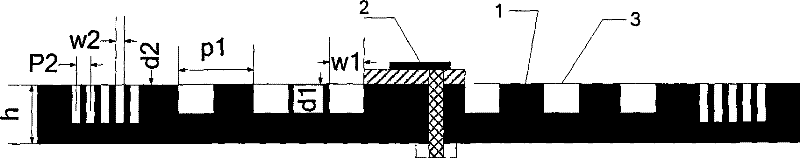 Two-dimensional groove directed microstrip paster antenna