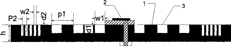 Two-dimensional groove directed microstrip paster antenna