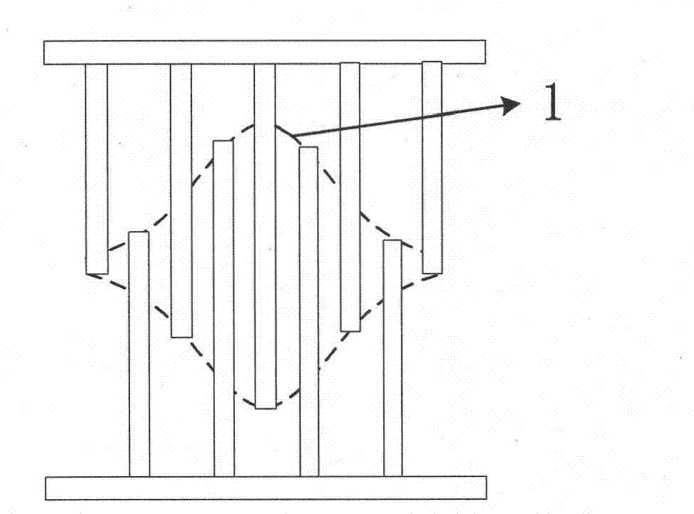 Single-scale surface acoustic wave type wavelet transform processor