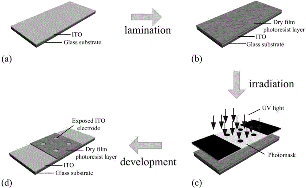 Cell impedance sensor based on DFP-ITO electrode and application of cell impedance sensor