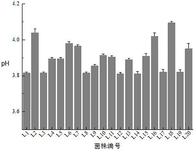 Lactobacillus sakeii strain and application thereof in food processing