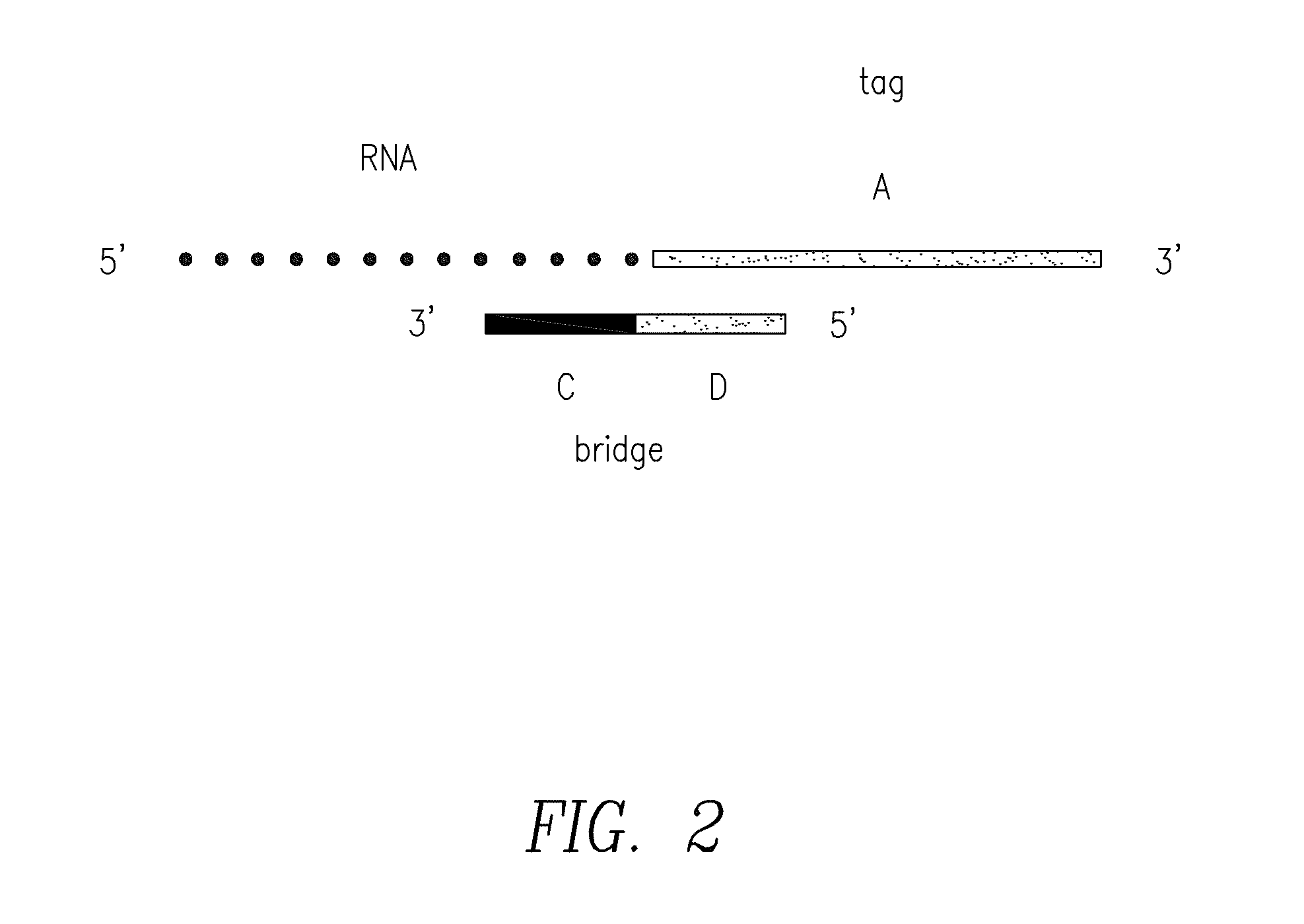 Compositions and methods for the detection of small rnas