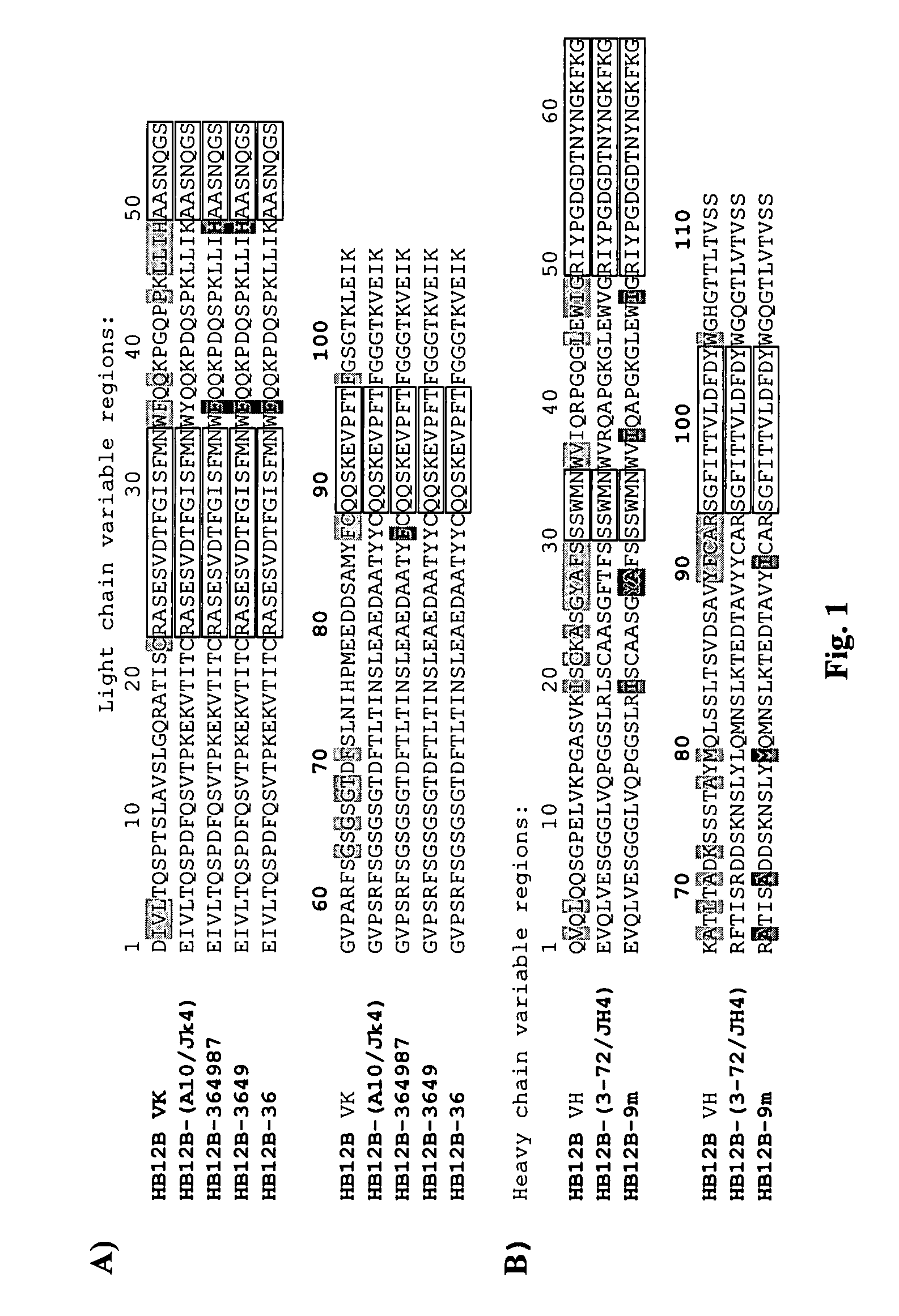 Humanized anti-CD19 antibodies and their use in treatment of oncology, transplantation and autoimmune disease