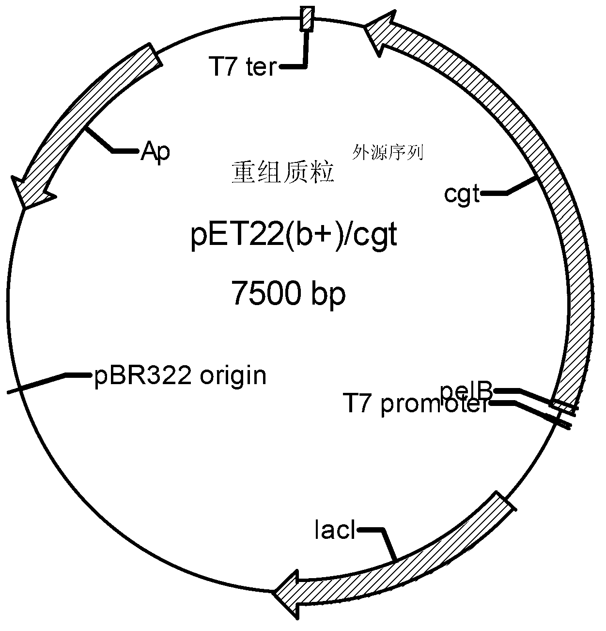 A group of cyclodextrine glucosyltransferases and encoding gene and application thereof