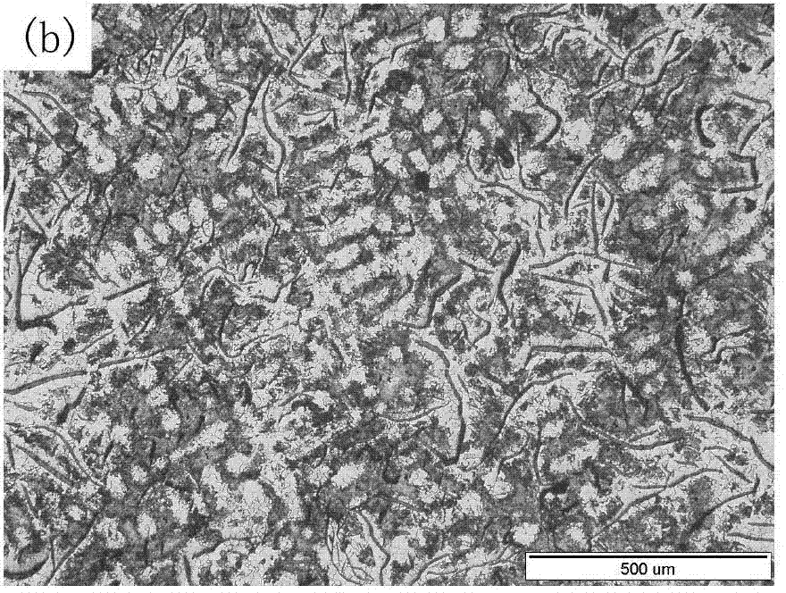 Modificator for changing growth morphology of primary austenite of gray cast irons, preparation method and application thereof